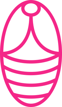 The Cocoon